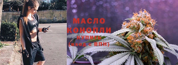 мдпв Надым