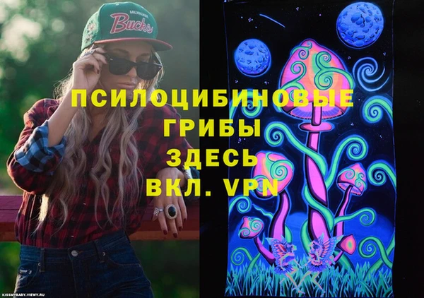 мдпв Надым