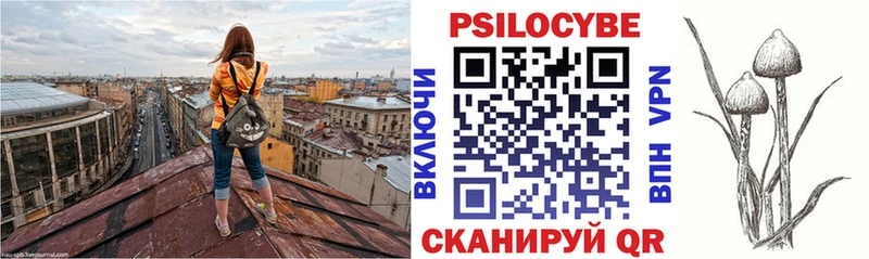 как найти наркотики  Конаково  Галлюциногенные грибы мухоморы 