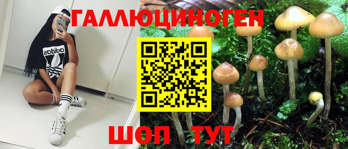 Конаково  Псилоцибиновые грибы ЛСД  Галлюциногенные грибы Cubensis  Вход с VPN 