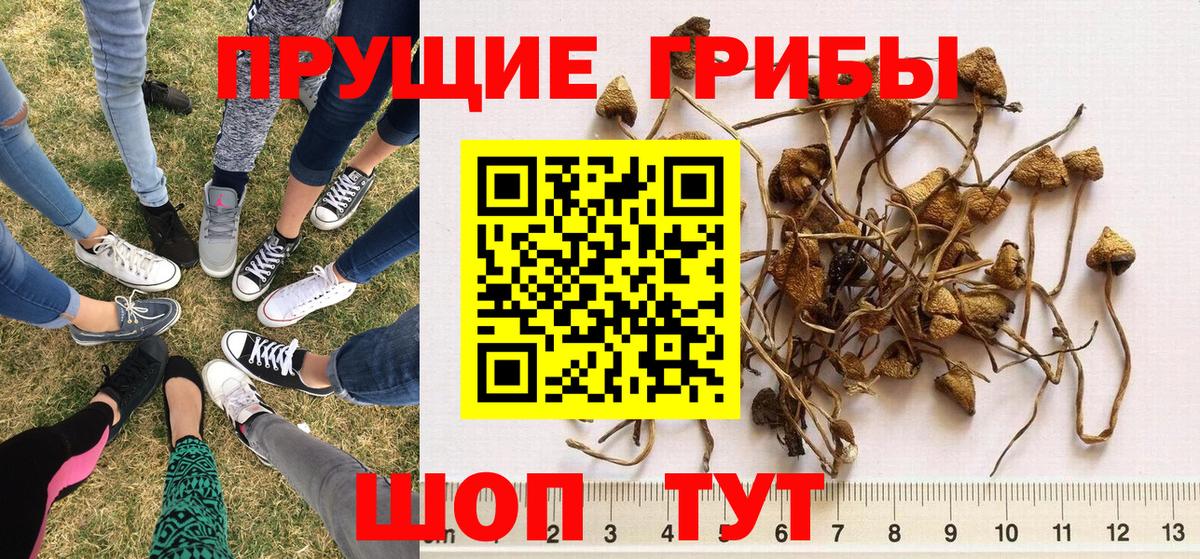 Галлюциногенные грибы MAGIC MUSHROOMS  Конаково 