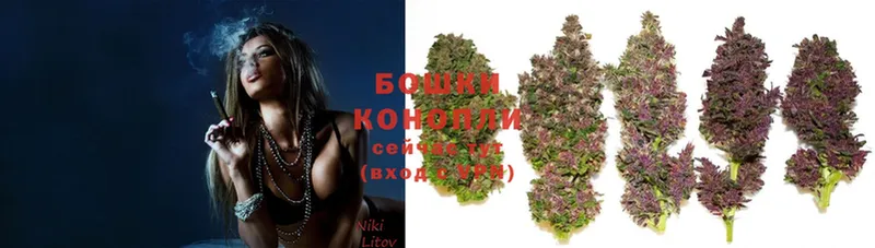 как найти наркотики  Конаково  Марихуана Ganja 